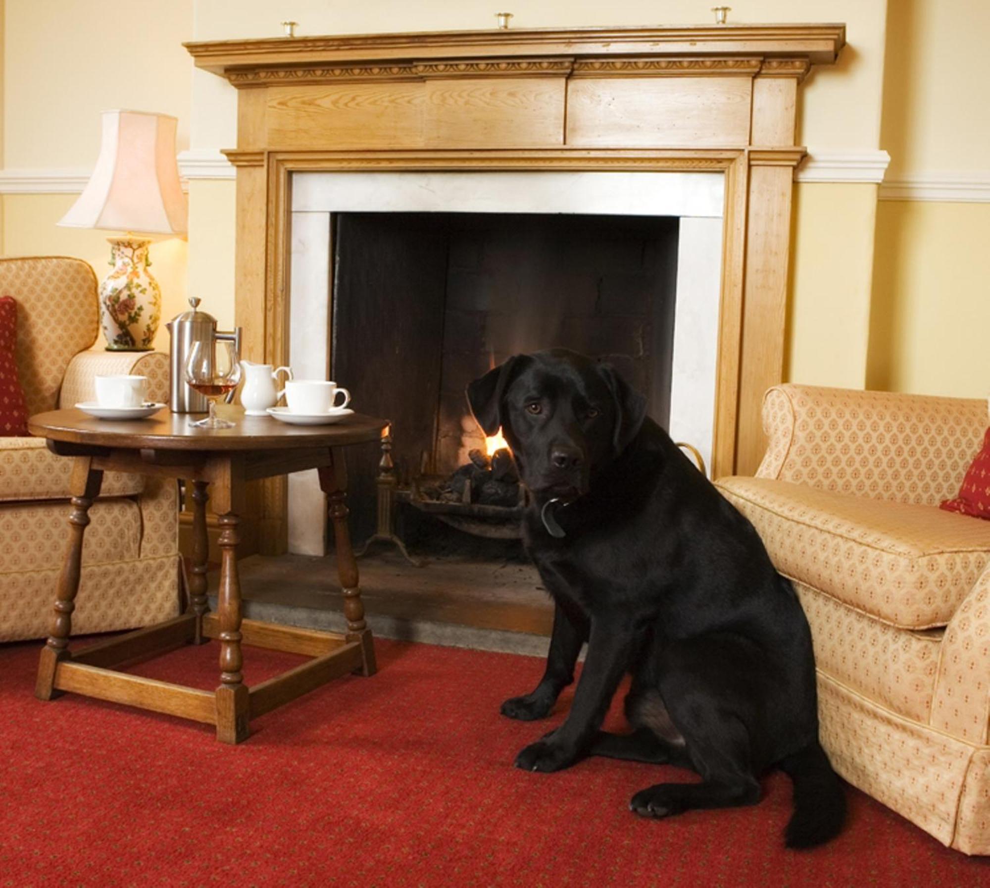 Worsley Arms Hotel Hovingham Zimmer foto